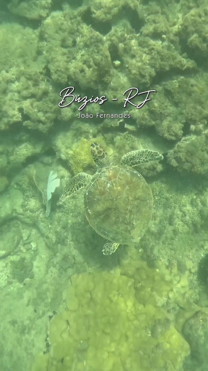 🌞 Búzios Vibes
.
🇧🇷 #curtarj #buzios #regiaodoslagos #errejota #mtur #beautifuldestinations 🌞 Búzios Vibes
.
🇧🇷 #curtarj #buzios #regiaodoslagos #errejota #mtur #beautifuldestinations