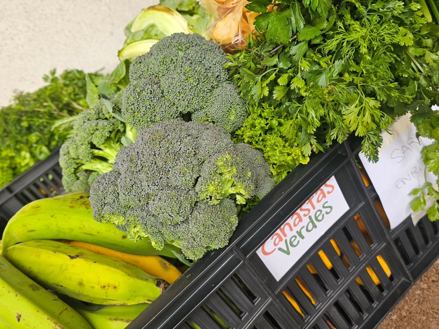 #DíadeEntregas Desde Canastas Verdes seguimos promoviendo prácticas que reivindican la economía en sus diferentes facetas (producción, financiación, comercio y consumo) como medio y no como fin, al servicio de la sostenibilidad de la vida y no del capital o del lucro🌱
💜Nuestra relación entre la producción y el consumo se basa en principios de solidaridad, espiritualidad, reciprocidad, interdependencia y eco dependencia, a favor de la vida y todo lo que la sostiene.
Les invitamos a construir juntos, una apuesta por transformar desde la economía la forma en que convivimos💮