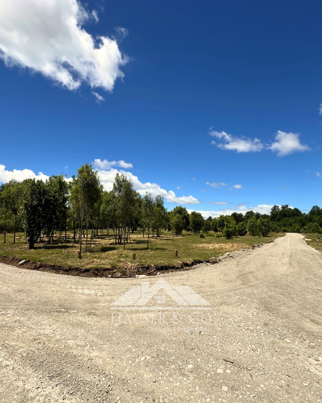 🌿 PARCELAS en venta en Villarrica | Oportunidad única
¿Buscas parcelas en venta en Villarrica a buen precio y con excelente ubicación?
NUEVO PROYECTO Refugio EL RADAL es una oportunidad real de inversión y calidad de vida en el sur de Chile.
📍 A solo 10 minutos de Villarrica (Camino Villarrica a Freire)
🌳 Entorno natural, tranquilo y de alta plusvalía
🚗 Fácil acceso y conectividad
🏡 Ideal para vivir, invertir o proyectar tu casa en el sur
💰 Parcelas DESDE $48.000.000.-
Una de las opciones más atractivas del sector por ubicación y precio.
✔️ Solo 20 Lotes
✔️ Canalización Soterrada de electricidad
✔️ Agua Potable
✔️ Fibra Óptica
✔️ Proyecto pensado para quienes buscan naturaleza sin alejarse de la ciudad
✔️ Excelente proyección de valorización
✔️ Espacios amplios para construir y disfrutar
📲 Solicita más información y disponibilidad en Refugio El Radal
💬 Escríbenos por WhatsApp +56975598897 o revisa el link en nuestro perfil
.
.
.
#ParcelasEnVenta #ParcelasEnVillarrica
#TerrenosEnVenta #InversiónInmobiliaria
#VivirEnElSur Villarrica