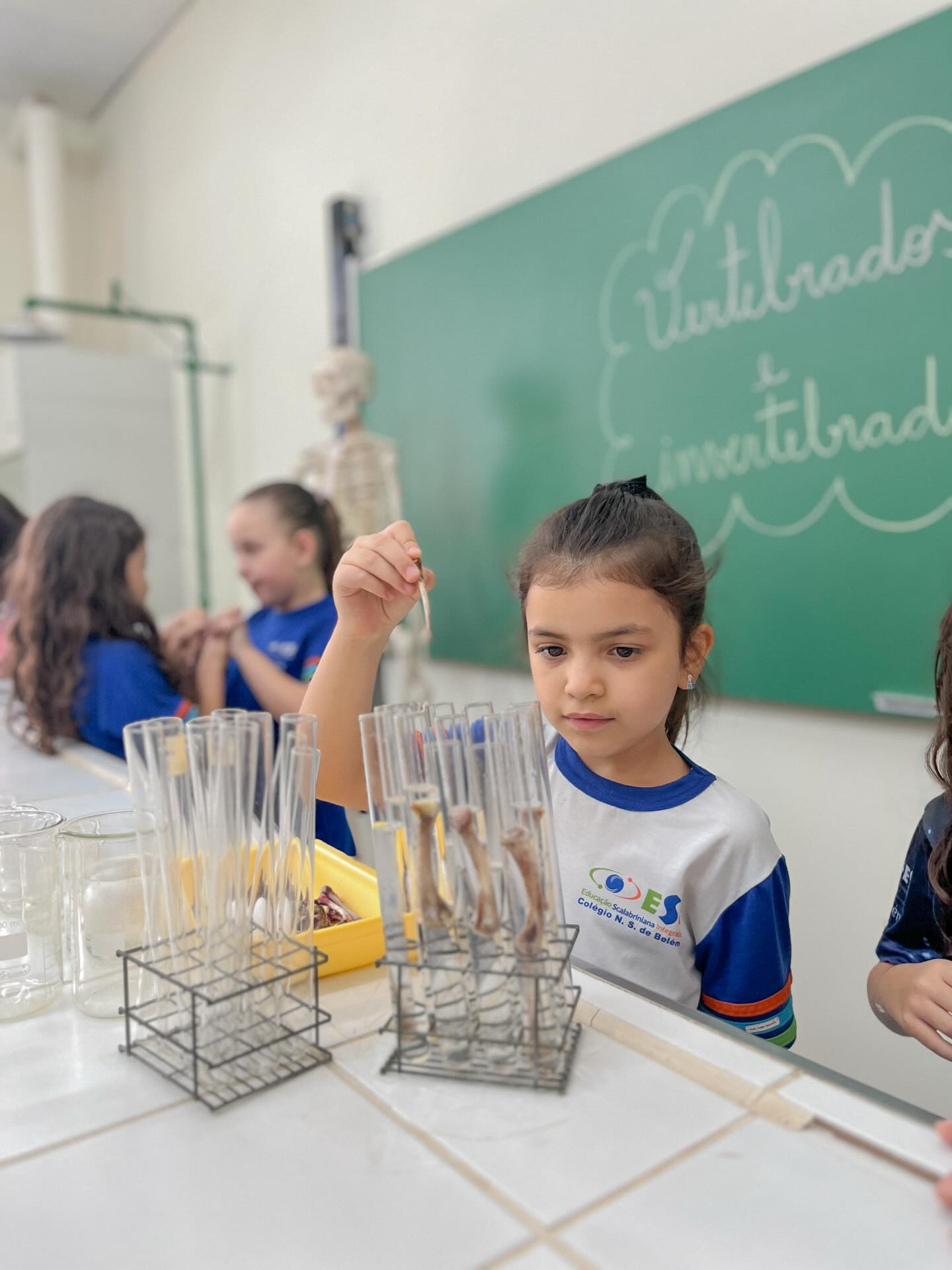 Os estudantes do 2° ano realizaram a experiência do ovo e do osso no vinagre, observando reações químicas que envolvem o cálcio. Com o tempo, a casca do ovo e o osso ficaram mais flexíveis, mostrando como o vinagre age sobre o cálcio. Uma atividade divertida que despertou a curiosidade e aproximou as crianças da ciência. 📝🔬🧪