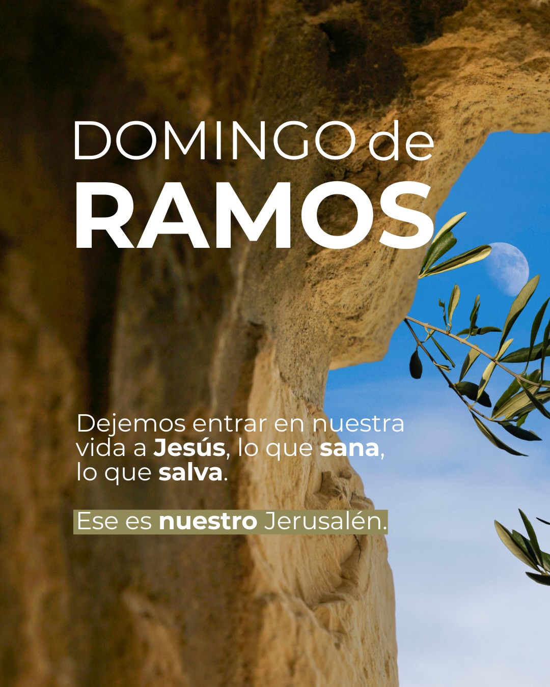 Dejemos entrar a Jesús en la Jerusalén de nuestro corazón. 🙏💛
¿Qué puertas de tu vida vas a abrirle hoy?
#domingoderamos #maristas #maristascruzdelsur