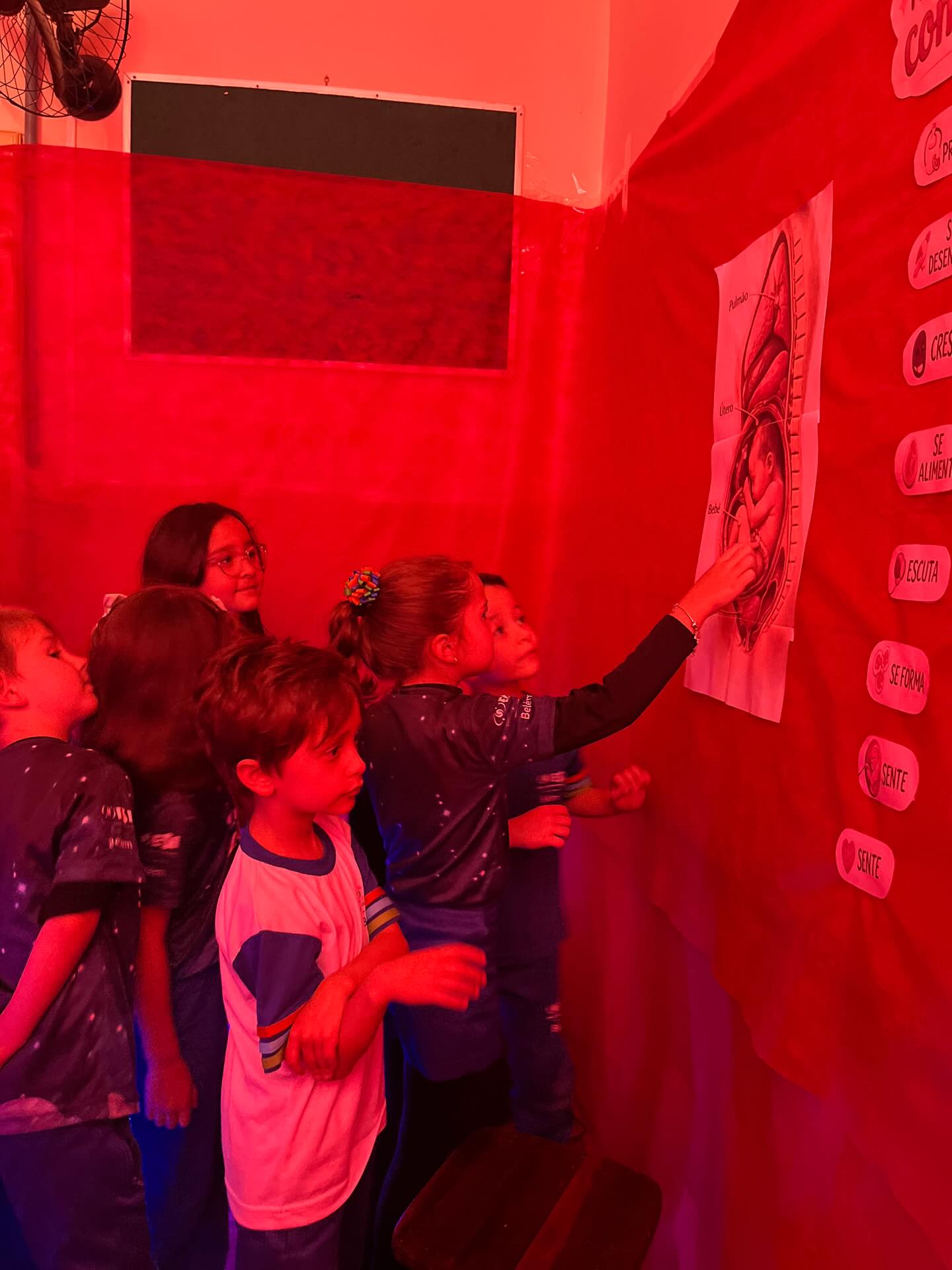 No projeto “Minha Primeira Moradia”, os alunos do 1º ano participaram de uma vivência muito especial 🤱🏻🩵
Eles vivenciaram uma proposta sensorial que simulava o ambiente do útero, com sons, cores e sensações que despertaram curiosidade e encantamento.
Também observaram imagens do crescimento do bebê, aprendendo como ele se desenvolve e que o útero é a nossa primeira moradia, dentro da barriga. 🫶🏻