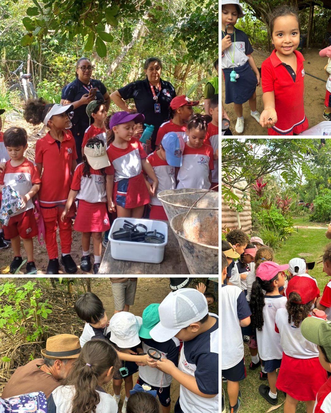 Aprender também é explorar, observar e viver novas experiências! 🌿🔎
As turmas dos Níveis IV e V e do 1º ano participaram de uma enriquecedora aula de campo na Comunidade das Formigas, em Pirangi. Em contato com o ambiente e com a realidade local, nossos alunos ampliaram seus conhecimentos de forma prática, curiosa e significativa.
Uma manhã de muitas descobertas, aprendizados e memórias especiais! 💙❤️
#ColégioAuxiliadora #AulaDeCampo #EducaçãoInfantil #EnsinoFundamental #AprenderNaPrática
