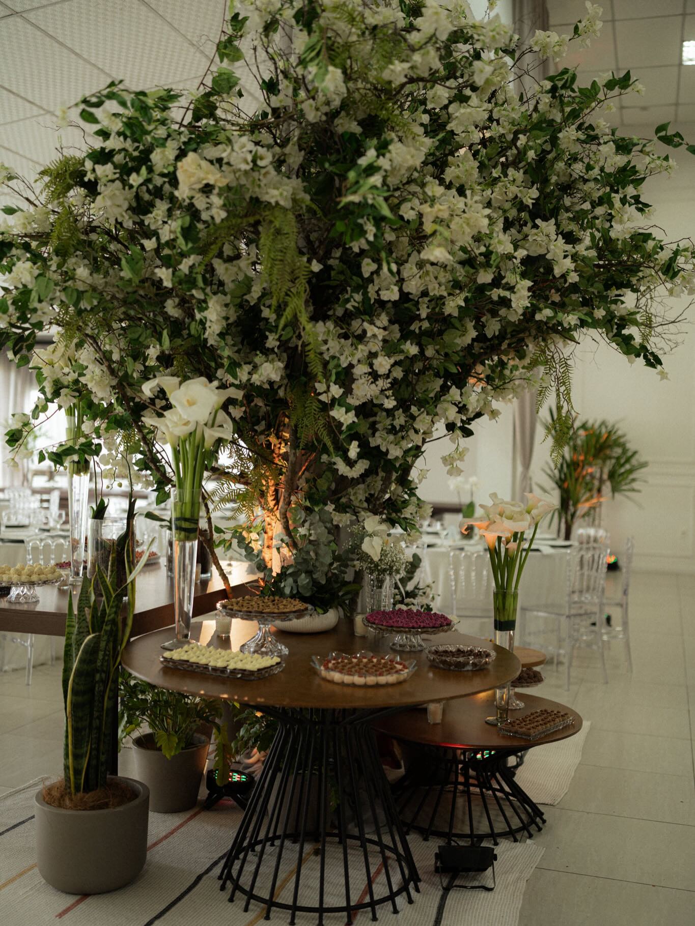 Uma decoração que encontra beleza no equilíbrio entre o natural, o clássico e o contemporâneo. 🤍🌿
O verde em destaque, as flores brancas e a transparência do mobiliário criaram uma composição leve e elegante, presente desde a cerimônia até cada detalhe da recepção.
Um projeto pensado para acolher, encantar e fazer parte das memórias de um dia único.
✨ Ilma Socha Decorações
Transformando espaços em cenários para histórias inesquecíveis.
#IlmaSocha #DecoraçãoDeCasamento #Casamento #WeddingDecor #DecoraçãoDeEventos CasamentoDosSonhos EventosJoinville